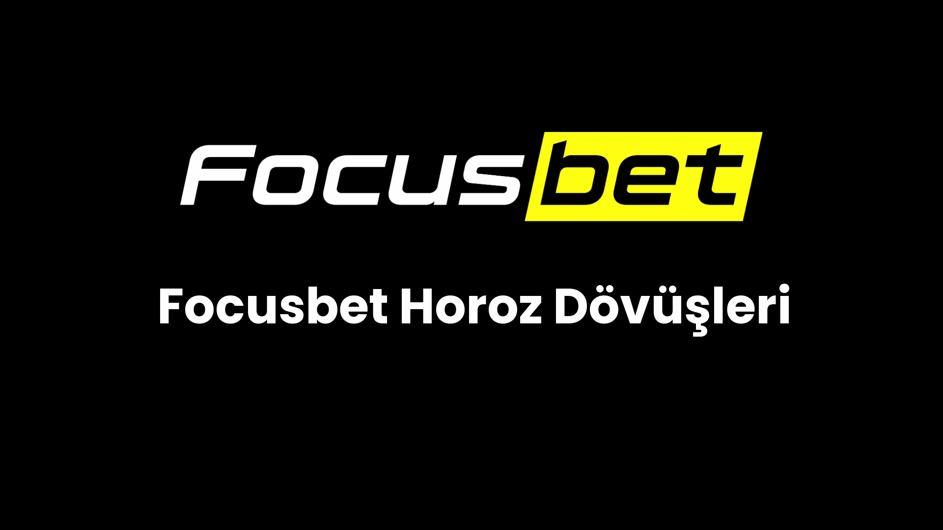 focusbet horoz dovusleri 82